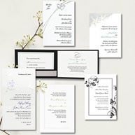 Best Sellers Invitation Sample Pack