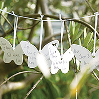Butterfly Wishes Kit (Contains 54 Cards)