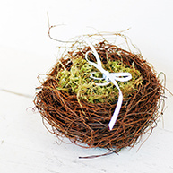 Moss Filled Nest Ring Pillow
