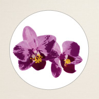 Orchid Beauty Round Label