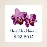 Orchid Beauty Square Label