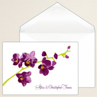 Orchid Beauty Thank You Note