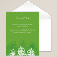 Palm Tree Passions Save the Date Card