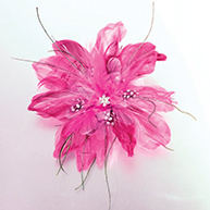 Sparkling Feather Clip and Pin