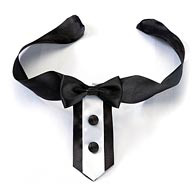 Tuxedo Dog Collar
