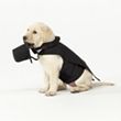 Dog Wedding Tuxedo