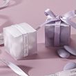 Frosted Favor Boxes/Set of 25