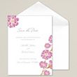 Moss Roses Save the Date