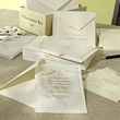 Natural Beauty DIY Wedding Invitation