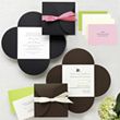 Petal Wrap Wedding Invitation