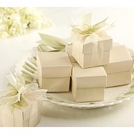 Champagne-Colored Wedding Favor Boxes