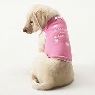 Always A Bridesmaid Dog Shirt