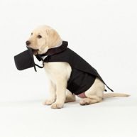 Dog Wedding Tuxedo
