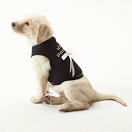 Doggie Ring Bearer Shirt