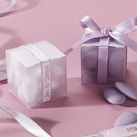 Frosted Favor Boxes/Set of 25