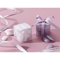 Sample, Frosted Favor Box