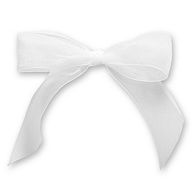 White Organza Bow